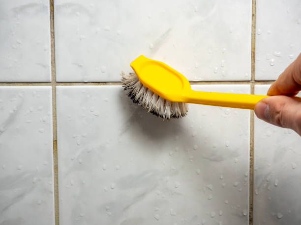 Best Home Mold Removal  in Brooklyn, WI