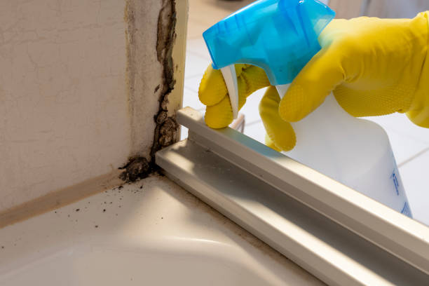 Best Crawl Space Mold Removal  in Brooklyn, WI