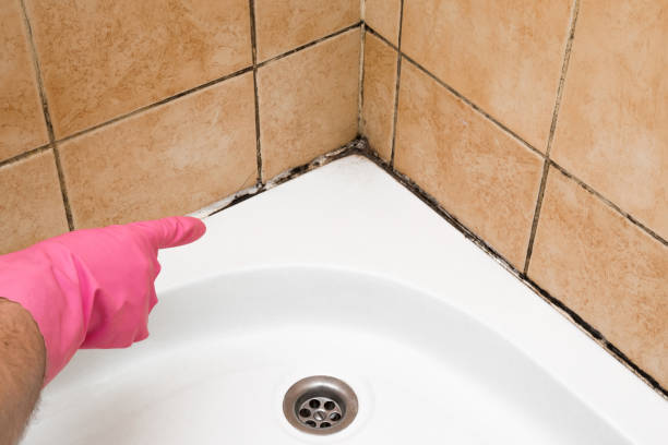Best Mold Cleaning Services  in Brooklyn, WI